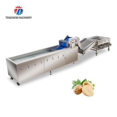 China Línea de transformación multifuncional de fruta y verdura lavado automático y clasificadora en venta