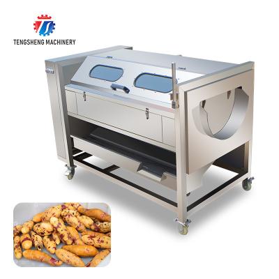 China 1500KG/H Root Vegetable Washing And Peeling Machine For Restaurant for sale
