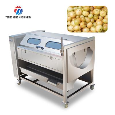China Brush Potato Washing And Peeling Machine SS Commercial Vegetable Sealing Cover Type for sale