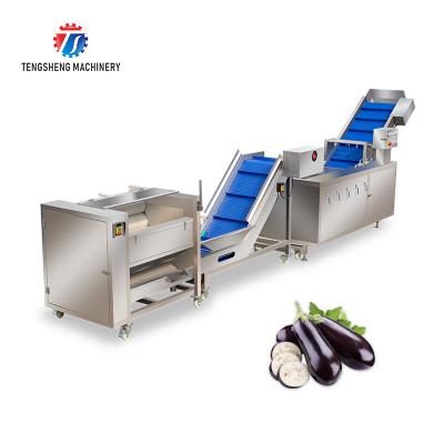 China Multifunctional Vegetable And Fruit Processing Line Hair Roller Bubble Cleaning Production Line for sale