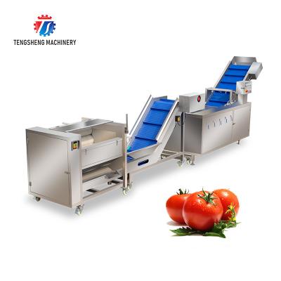 China SS Fruit And Vegetable Hair Roller Bubble Cleaning Machine 800KG/H for sale