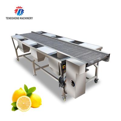 China Spot vegetable sorting equipment commercial vegetable and fruit sorting table food factory line selection table for sale