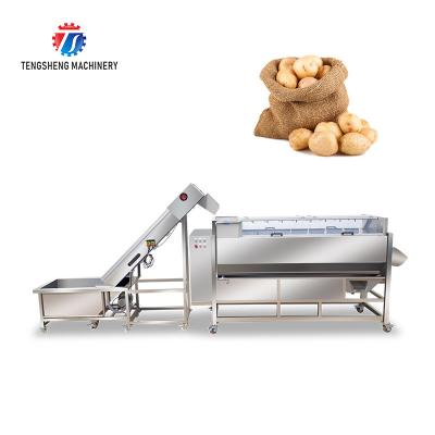 China SS Fruit Vegetable Washing Machine Pre - Foaming Lifting Hair Roller Cleaning Production Line for sale