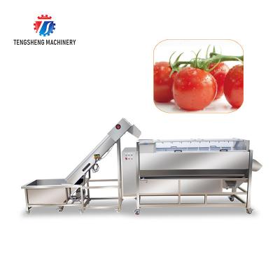 China Linha de processamento multifuncional das frutas e legumes que iça a máquina à venda
