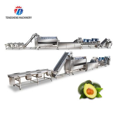 China 380V Fruit And Vegetable Processing Line Sweet Potato Picking Hair Roller Bubble Cleaning Drying Cutting Machine for sale