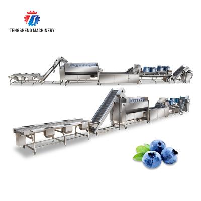 China Stainless Steel Fruit And Vegetable Processing Line Potato Picking Hair Roller Bubble Washing Machine for sale