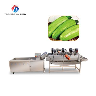 China Vegetables and Fruits Bubble Cleaning Vibration Air Drying Machine Production Line for sale