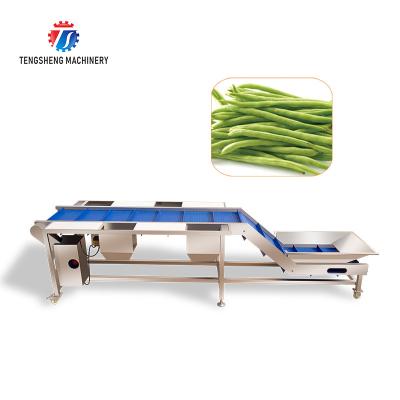 China Industrial Automatic Leafy Vegetable and Fruit Lifting Sorting Table Machine for sale