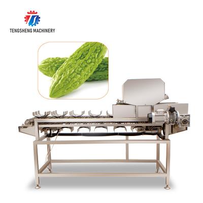 China 150KG 2.05KW Automatic fruit and vegetable segmentation machine stainless steel vegetable and fruit cutting machine for sale