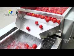 Fruit And Vegetable Processing Line Parallel Brush Machine