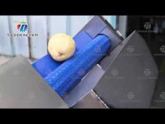 Fruit And Vegetable Processing Line Bubble Cleaning Juicing Machine
