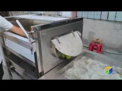 Citrus Stalk Eliminated Lemon Processing Machine Industrial Type