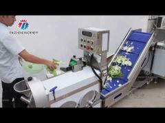 Supermarket Fruit And Vegetable Processing Line High Speed
