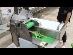 Commercial Vegetable Slicing Machine Multi-Functional Automatic