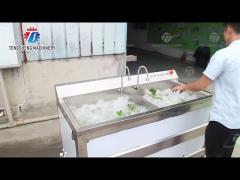 1.1KW Commercial Ozone Multifunctional Vegetable Washing Machine