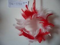 China Feather for sale