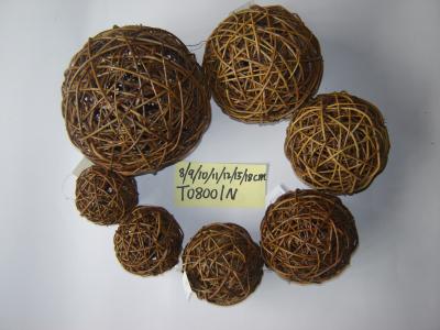 China Willow for sale