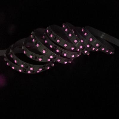 China New style SMD3528 120LED constant current 810nm led strip kit for sale