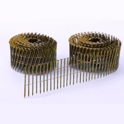 China Screw Siding  Hot Dipped Galvanized Coil Nails for sale