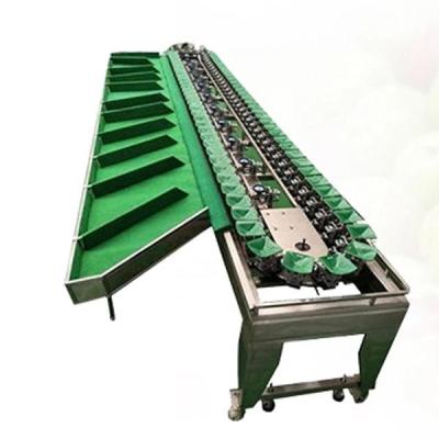 China 8500mm Apricot Core Pulp Vegetable Grader Sorter Washer Machine for sale