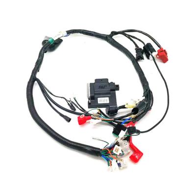 China OEM Motorcycle Wiring Harness Electronic Fuel Injector Wiring Harness for sale