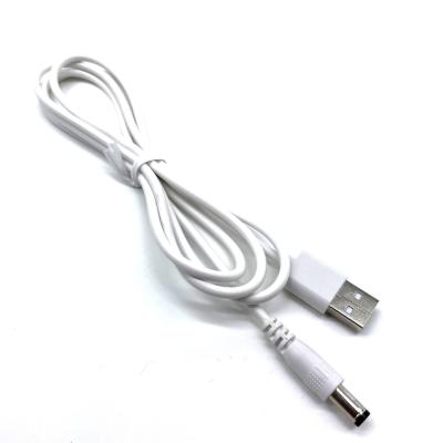 Chine Cable de charge rapide en courant continu de type mâle à USB-A 5,5 x 2,1 mm Brosse à dents électrique à vendre
