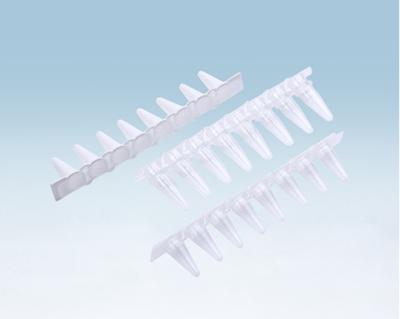 China Clear Plastic 0.1ml / 0.2ml 8 strip pcr tubes For Pcr Instrument pcr 8 strip for sale