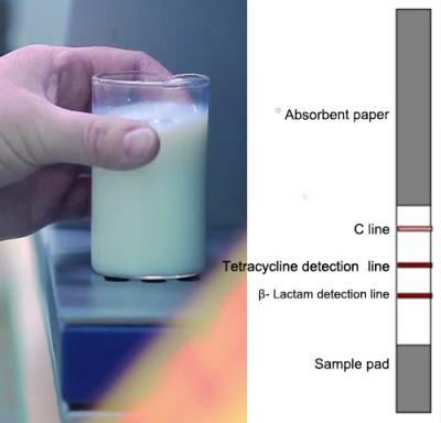 Китай Assay прокладок теста лактама β- молокозавода Tetracyclines+ антибиотический быстрый для лаборатории продается