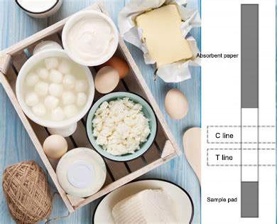 Китай Легкое прокладки теста молока Iso афлатоксина M1 свежее сырцовое ясное для того чтобы интерпретировать визуальные результаты продается