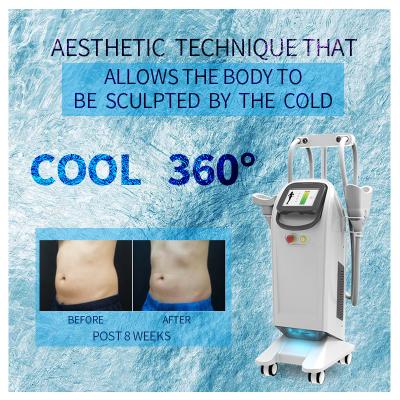 China 360 Cryolipolysis Machine 5 Handles Body Fat Freezing for sale