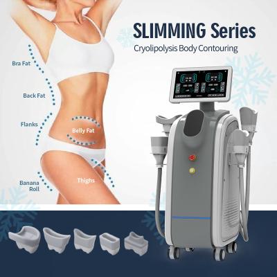 China Lcd Multifunction Cryolipolysis Machine Mini Plus Cup Size 65*20*20mm 145*135*50mm for sale