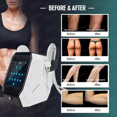 Cina EMS Body Sculpting Machine Butt Lifting with 13T Electromagnetic Wave Energy in vendita