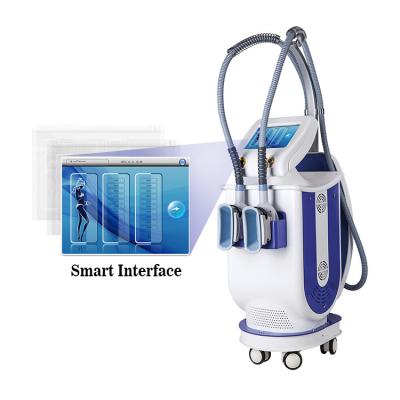 China Medical Ce Approval Lcd Fat Freezing Cryolipolysis Machine For Body Shaping for sale