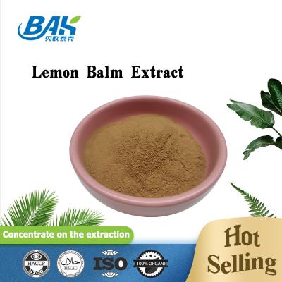 China Plant Extract Powder Lemon Balm Extract en venta