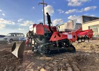 Quality 25HP Dry Land Crawler Tractor for sale