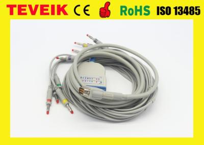 China Cable y leadwires compatibles de la ventaja ECG/EKG de HP M1770A 10 con estándar del IEC Banana4.0 en venta