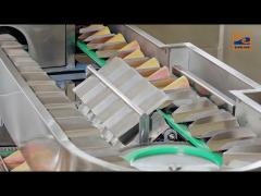 automatic sugar cone production line