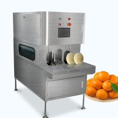 中国 タッチ画面が付いているカスタマイズされた果物と野菜のプロセス用機器 販売のため