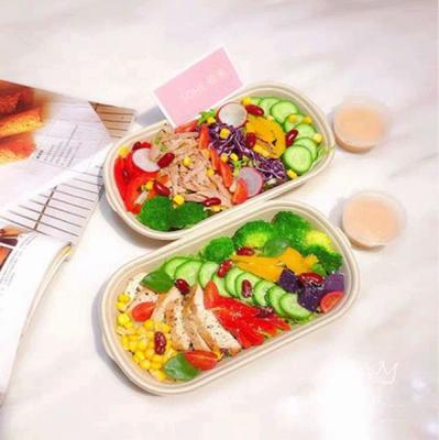 China 21g Fast Food 1000ml Sugarcane Bagasse Food Container for sale