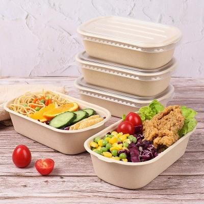 China Compostable Takeout Disposable Food Containers Bagasse Lunch Box With Lid for sale