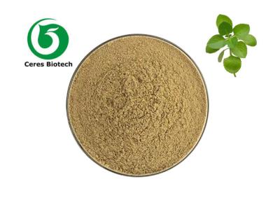 China Polvo natural del extracto de la hierba de Origanum vulgare para el cuidado médico TLC en venta