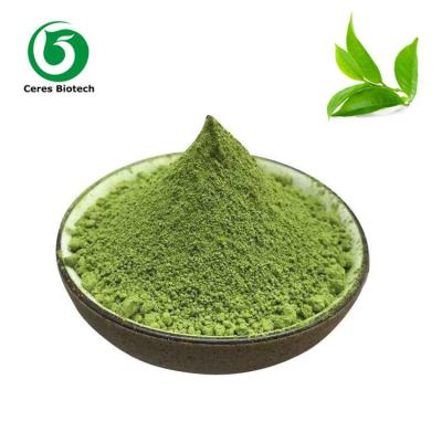 China Organisches reines Matcha-Pulver Bulk Tee Polyphenole Vitamin Nahrungsergänzungsmittel zu verkaufen