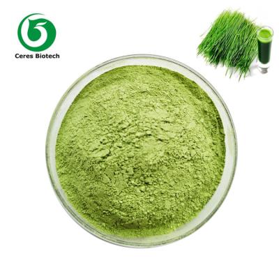 China Organic Wheat Grass powder,High quality Wheatgrass Powder 100% natural for sale