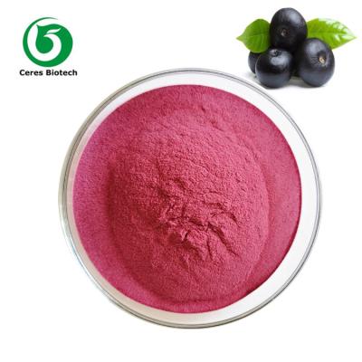 China Maqui Berry Fruit Juice Powder Acai Berry Extract Powder For Health Care for sale