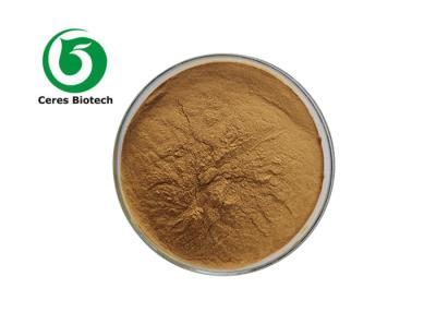 Cina DHM naturale Dihydromyricetin 5% 20% Estratto di Hovenia Dulcis in polvere in vendita