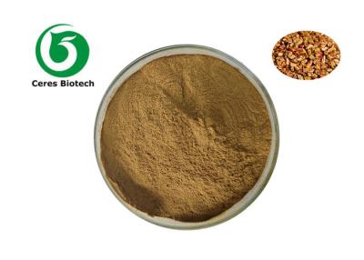 China 10:1 Semen Cassia Seed Extract Powder Herbal Extract Cassia Powder for sale