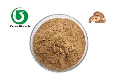 Cina Fornitura di estratto di funghi Shiitake in polvere 40% polisaccaridi in polvere in vendita
