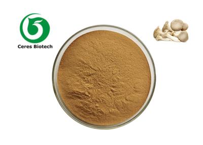 Cina Estratto di funghi d'ostrica in polvere biologico 10% 20% 30% Beta glucano in vendita