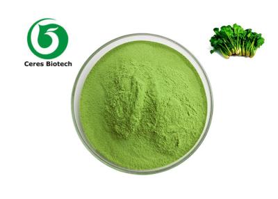 Cina Supply Natural Vegetable Powder Spinach Juice Powder Spinach Powder in vendita