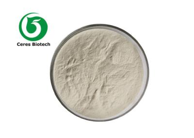Cina High Quality Food Grade Psyllium Seed Husks Extract Powder in vendita